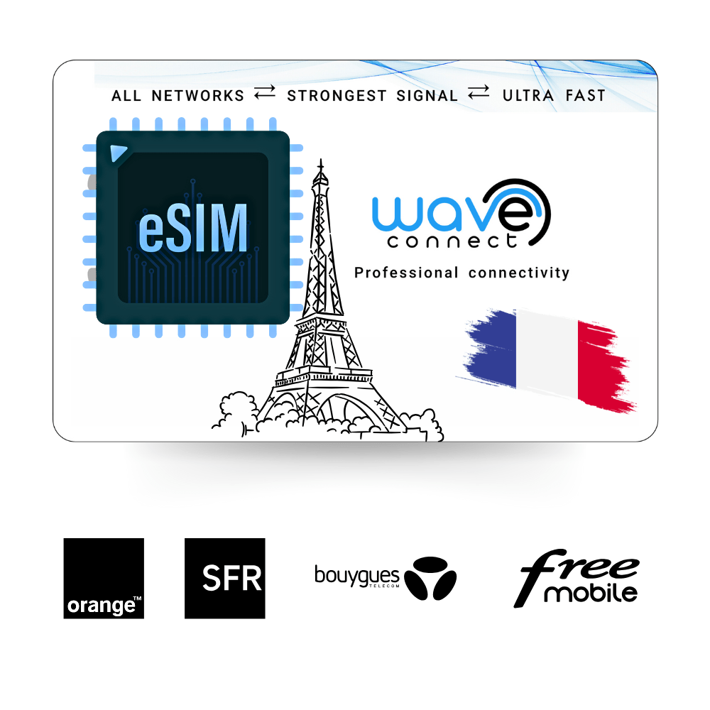 France Quad Network eSIM 1 GB / 1 Month - Freesat Spares