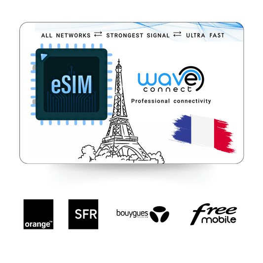 France Quad Network eSIM 1 GB / 1 Month - Freesat Spares
